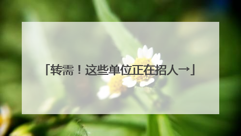 转需！这些单位正在招人→