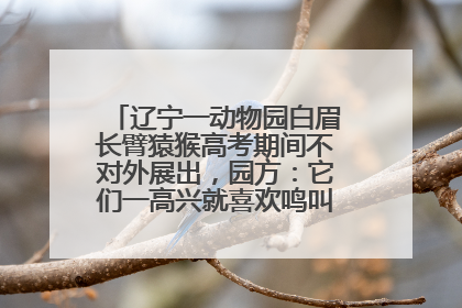 辽宁一动物园白眉长臂猿猴高考期间不对外展出，园方：它们一高兴就喜欢鸣叫，怕影响考试
