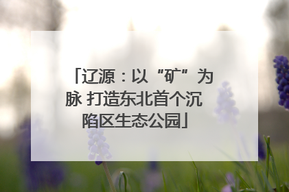 辽源：以“矿”为脉 打造东北首个沉陷区生态公园