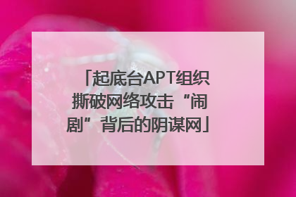 起底台APT组织 撕破网络攻击“闹剧”背后的阴谋网