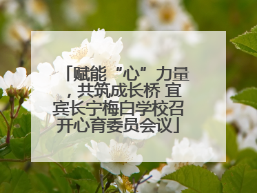 赋能“心”力量，共筑成长桥 宜宾长宁梅白学校召开心育委员会议