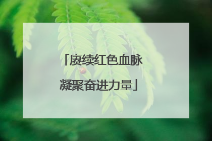 赓续红色血脉 凝聚奋进力量