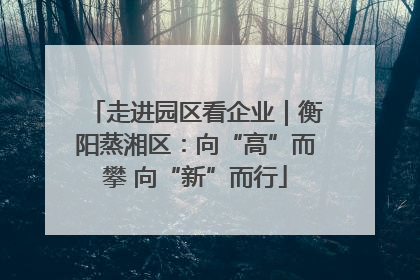 走进园区看企业｜衡阳蒸湘区：向“高”而攀 向“新”而行