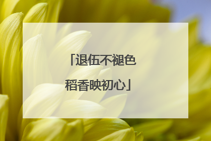 退伍不褪色 稻香映初心