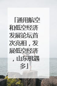 通用航空和低空经济发展论坛首次亮相，发展低空经济，山东机遇多