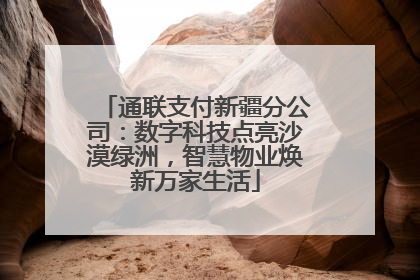 通联支付新疆分公司：数字科技点亮沙漠绿洲，智慧物业焕新万家生活