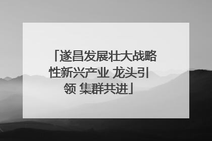 遂昌发展壮大战略性新兴产业 龙头引领 集群共进