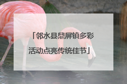 邻水县鼎屏镇多彩活动点亮传统佳节
