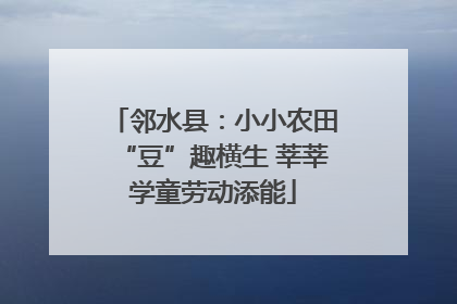 邻水县：小小农田“豆”趣横生 莘莘学童劳动添能