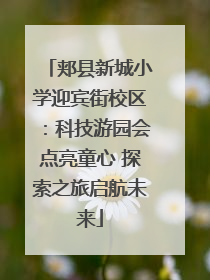 郏县新城小学迎宾街校区：科技游园会点亮童心 探索之旅启航未来
