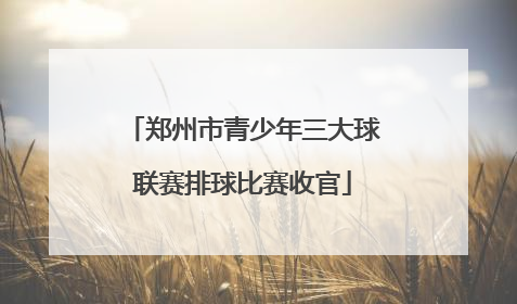 郑州市青少年三大球联赛排球比赛收官