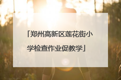 郑州高新区莲花街小学检查作业促教学