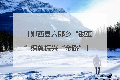 郧西县六郎乡“银茧”织就振兴“金路”