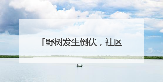 野树发生倒伏，社区4小时消除安全隐患