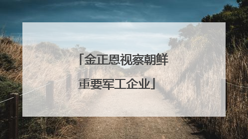 金正恩视察朝鲜重要军工企业