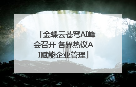 金蝶云苍穹AI峰会召开 各界热议AI赋能企业管理
