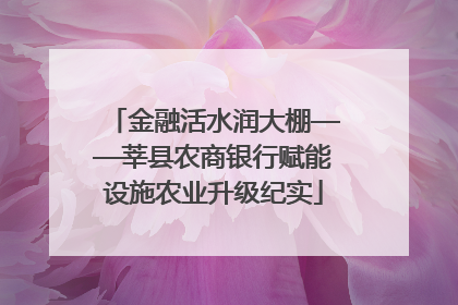 金融活水润大棚——莘县农商银行赋能设施农业升级纪实
