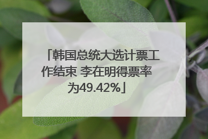 韩国总统大选计票工作结束 李在明得票率为49.42%