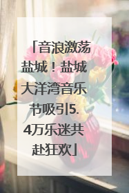 音浪激荡盐城！盐城大洋湾音乐节吸引5.4万乐迷共赴狂欢