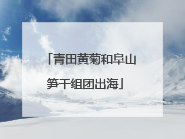 青田黄菊和阜山笋干组团出海
