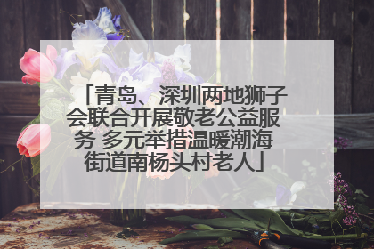 青岛、深圳两地狮子会联合开展敬老公益服务 多元举措温暖潮海街道南杨头村老人
