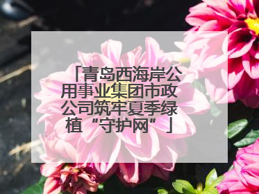 青岛西海岸公用事业集团市政公司筑牢夏季绿植“守护网”