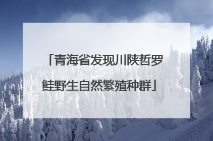 青海省发现川陕哲罗鲑野生自然繁殖种群