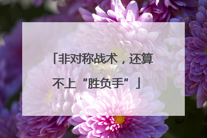 非对称战术，还算不上“胜负手”