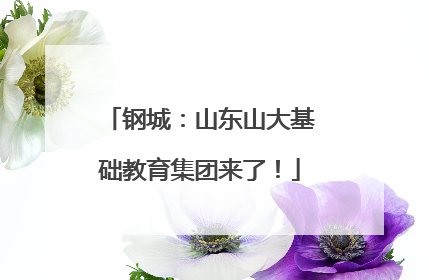 钢城：山东山大基础教育集团来了！