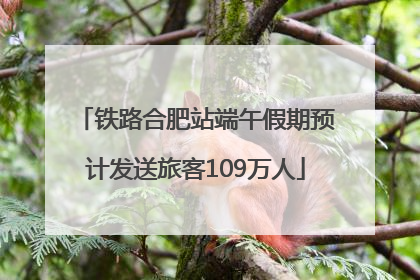 铁路合肥站端午假期预计发送旅客109万人