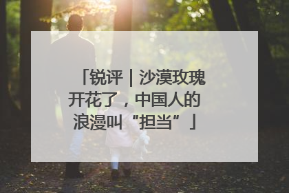锐评｜沙漠玫瑰开花了，中国人的浪漫叫“担当”
