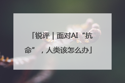 锐评｜面对AI“抗命”，人类该怎么办