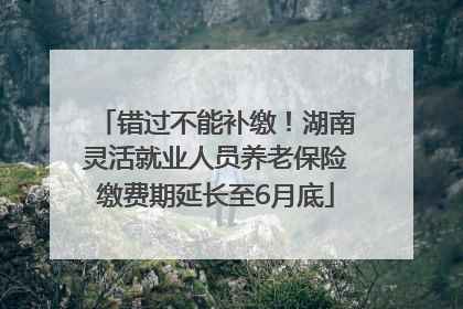 错过不能补缴！湖南灵活就业人员养老保险缴费期延长至6月底