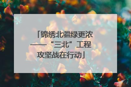 锦绣北疆绿更浓——“三北”工程攻坚战在行动