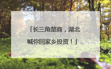 长三角楚商，湖北喊你回家乡投资！