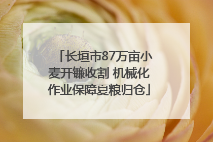 长垣市87万亩小麦开镰收割 机械化作业保障夏粮归仓