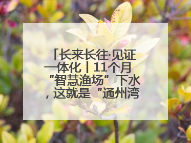 长来长往·见证一体化丨11个月“智慧渔场”下水，这就是“通州湾速度”！