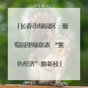 长春市绿园区：葡萄园里绿意浓 “紫色经济”焕新枝