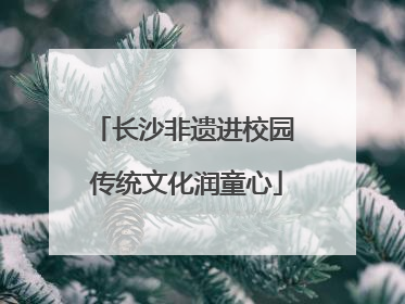 长沙非遗进校园 传统文化润童心