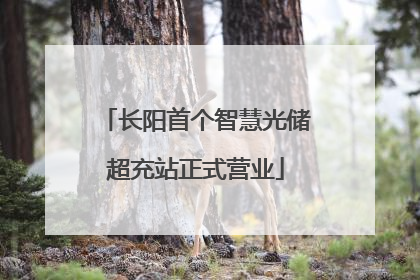 长阳首个智慧光储超充站正式营业