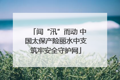 闻“汛”而动 中国太保产险丽水中支筑牢安全守护网