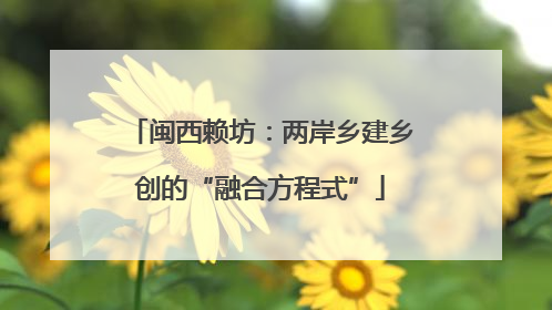 闽西赖坊：两岸乡建乡创的“融合方程式”