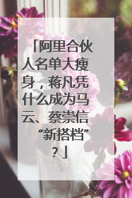 阿里合伙人名单大瘦身，蒋凡凭什么成为马云、蔡崇信“新搭档”？