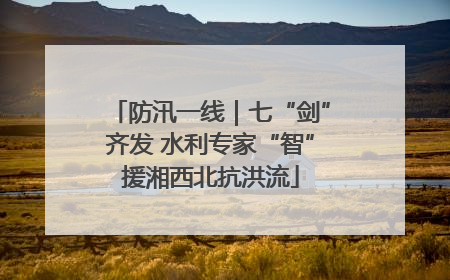 防汛一线｜七“剑”齐发 水利专家“智”援湘西北抗洪流