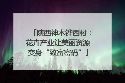 陕西神木铧西村：花卉产业让美丽资源变身“致富密码”