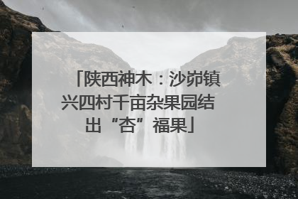 陕西神木：沙峁镇兴四村千亩杂果园结出“杏”福果