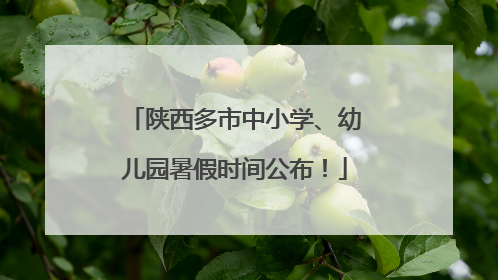 陕西多市中小学、幼儿园暑假时间公布！