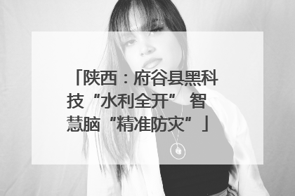 陕西：府谷县黑科技“水利全开” 智慧脑“精准防灾”