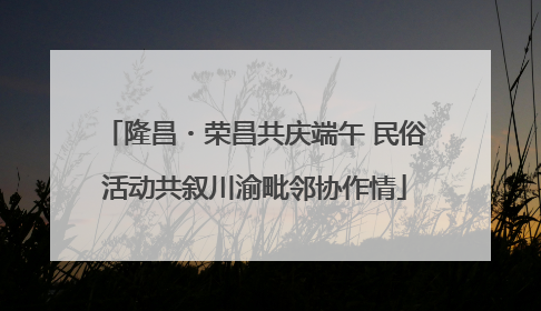 隆昌・荣昌共庆端午 民俗活动共叙川渝毗邻协作情