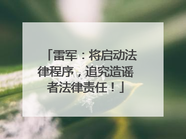 雷军：将启动法律程序，追究造谣者法律责任！